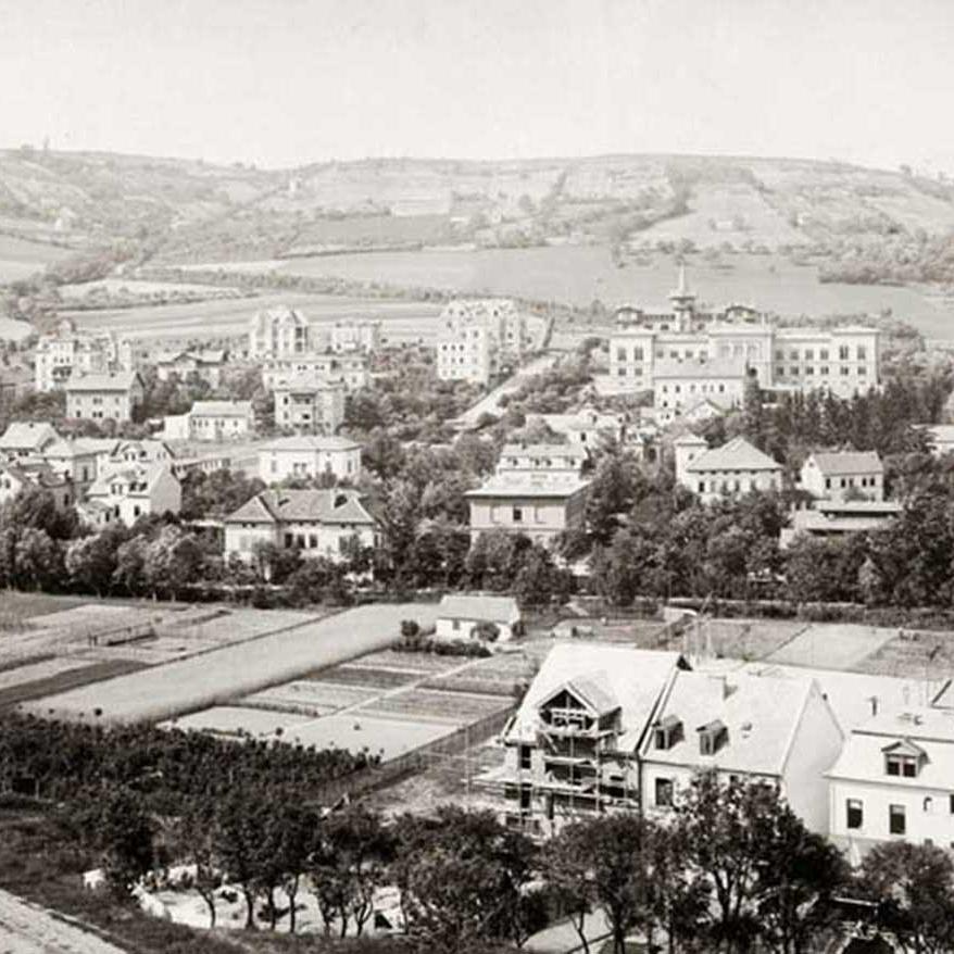 Blick auf Jena nach Nord (Landgrafen), 1891