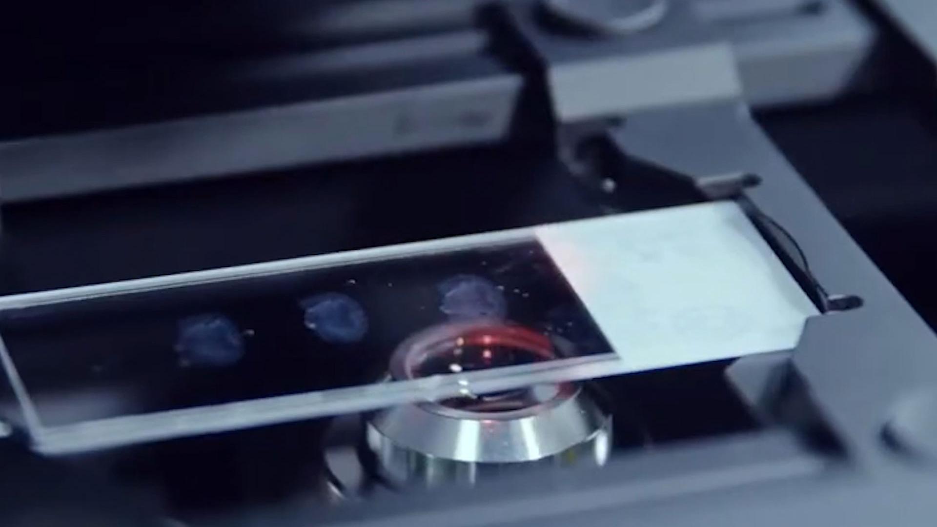 ZEISS CAD-Systeme