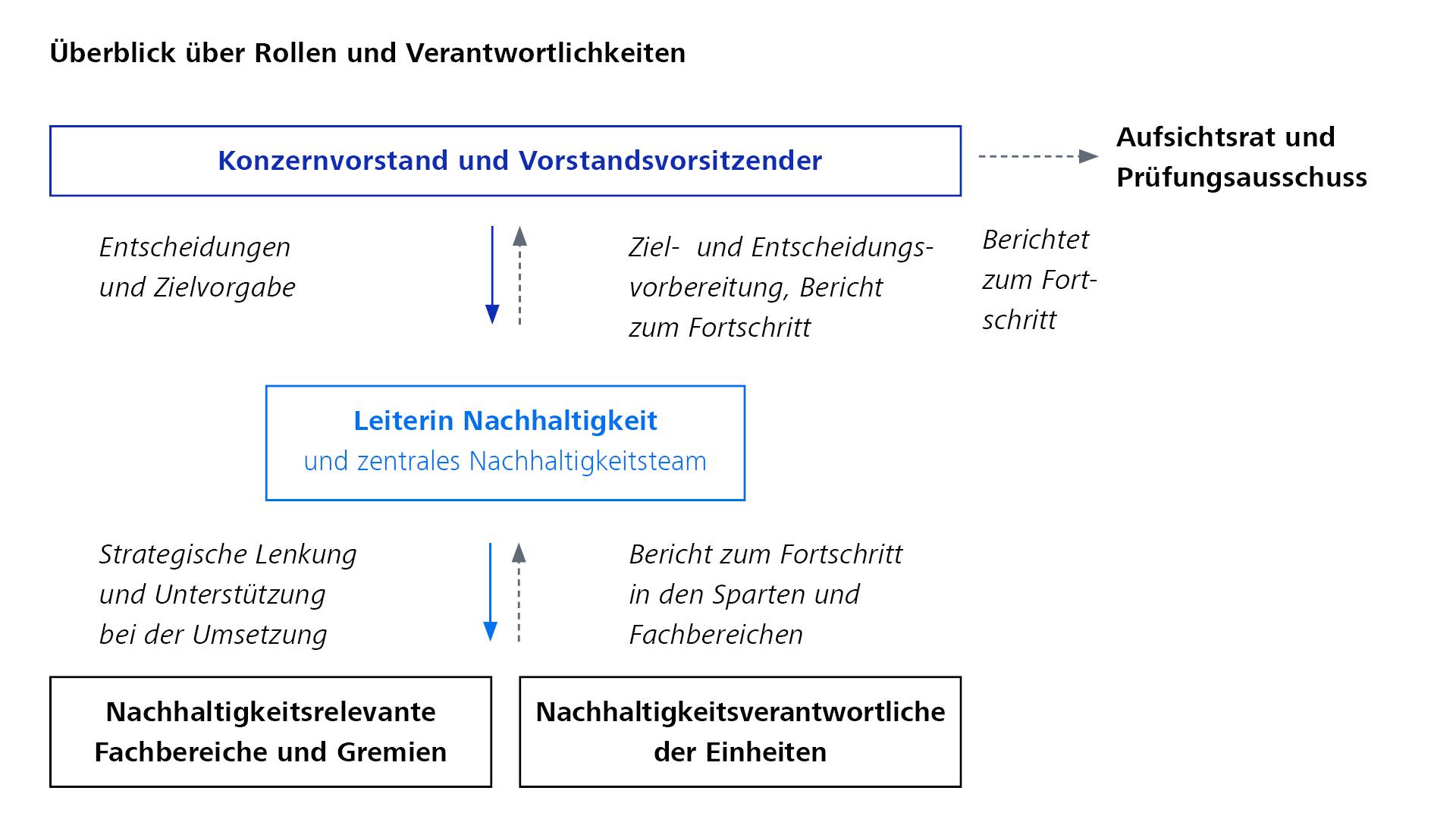 Organigramm der Nachhaltigkeitsorganisation