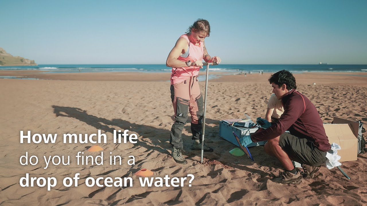 Forscher nehmen Bodenproben an einem Strand