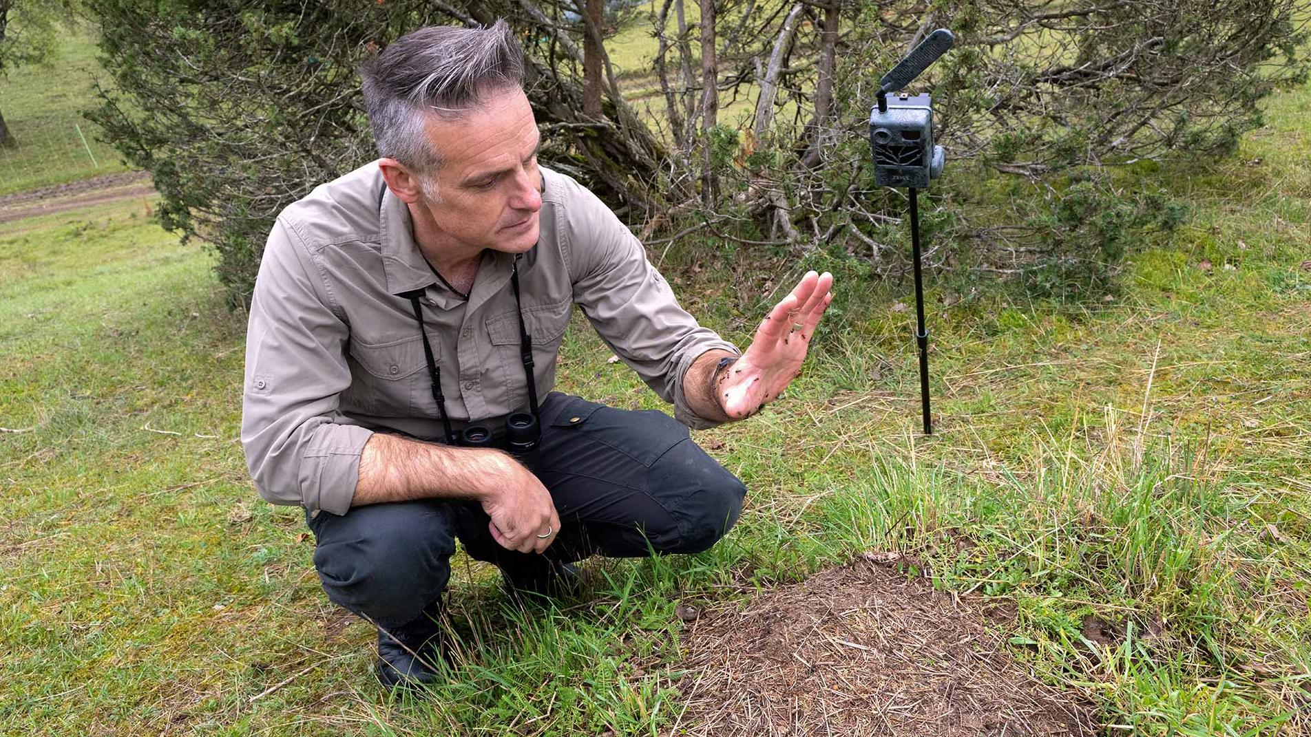 Nick Baker in tiefer Hocke neben einem Ameisenhaufen. Er hatte seine Hand zuvor auf das Nest gelegt, sodass jetzt mehrere Ameisen über seine Hand krabbeln. Neben Nick steht eine auf einem Einbeinstativ befestigte Zeiss Secacam zur Überwachung des Ameisenhaufens.