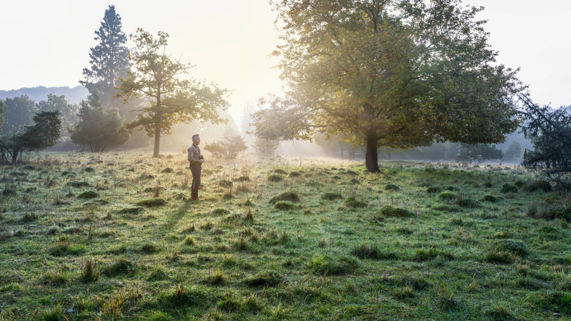 Nick Baker steht auf einer Wiese. Die Umgebung ist teilweise in morgendlichen Nebel gehüllt, durch den die aufgehende Sonne strahlt.