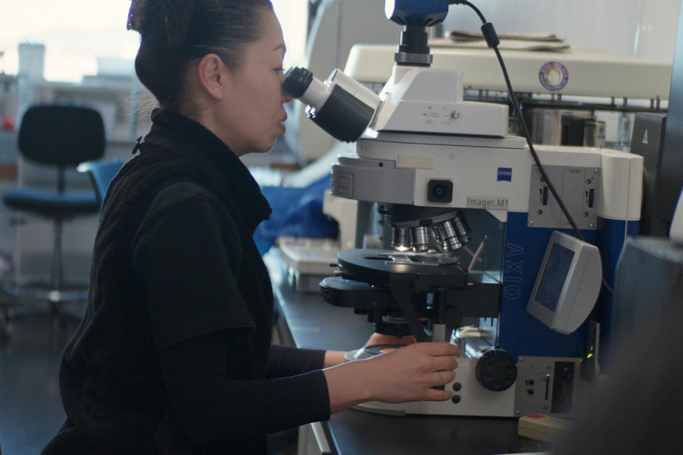 Yuko Tajima arbeitet an einem ZEISS Mikroskop