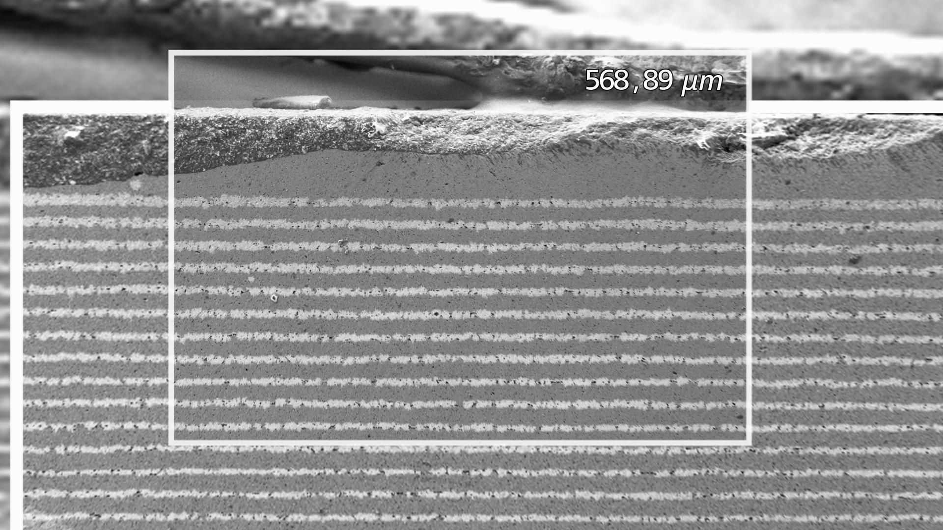 Analyse der Zusammensetzung von Li-Ionen-Batterieschichten mit ZEISS EVO 25 