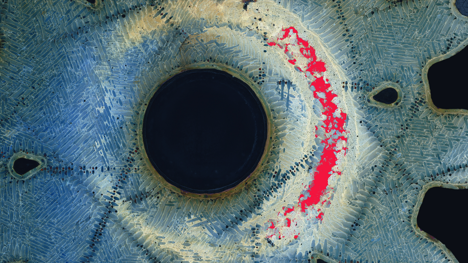ZEISS ZEN core