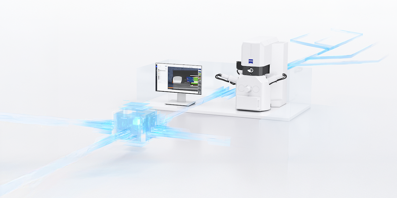 ZEISS ZEN core für Elektronenmikroskopie