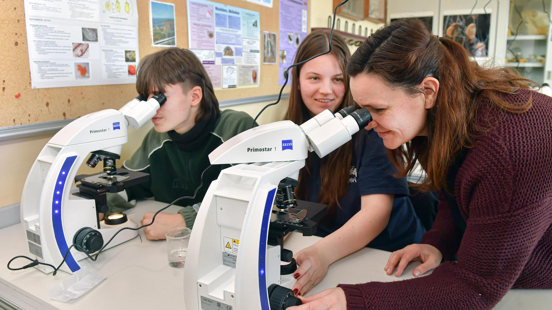 Schülerinnen und Schüler arbeiten gemeinsam an Mikroskopen