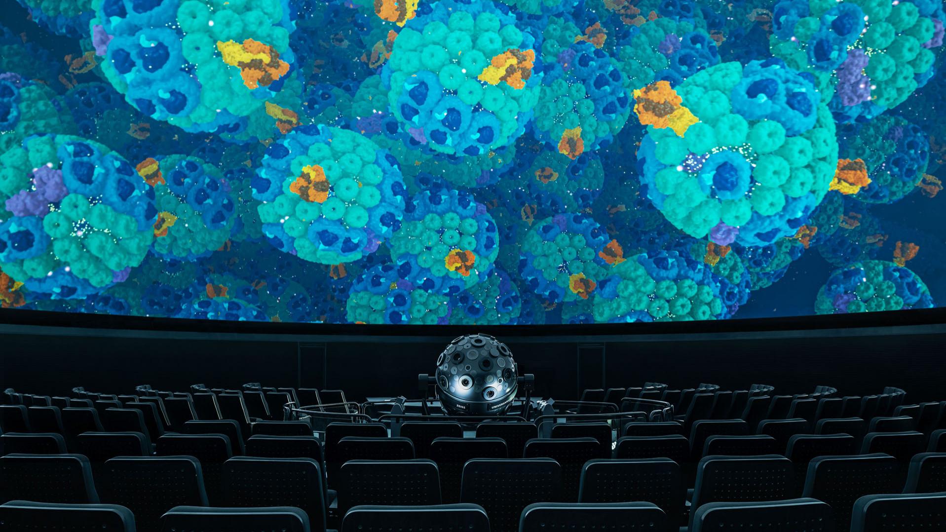 Projektionen erster Zellen im Zeiss-Großplanetarium in Berlin