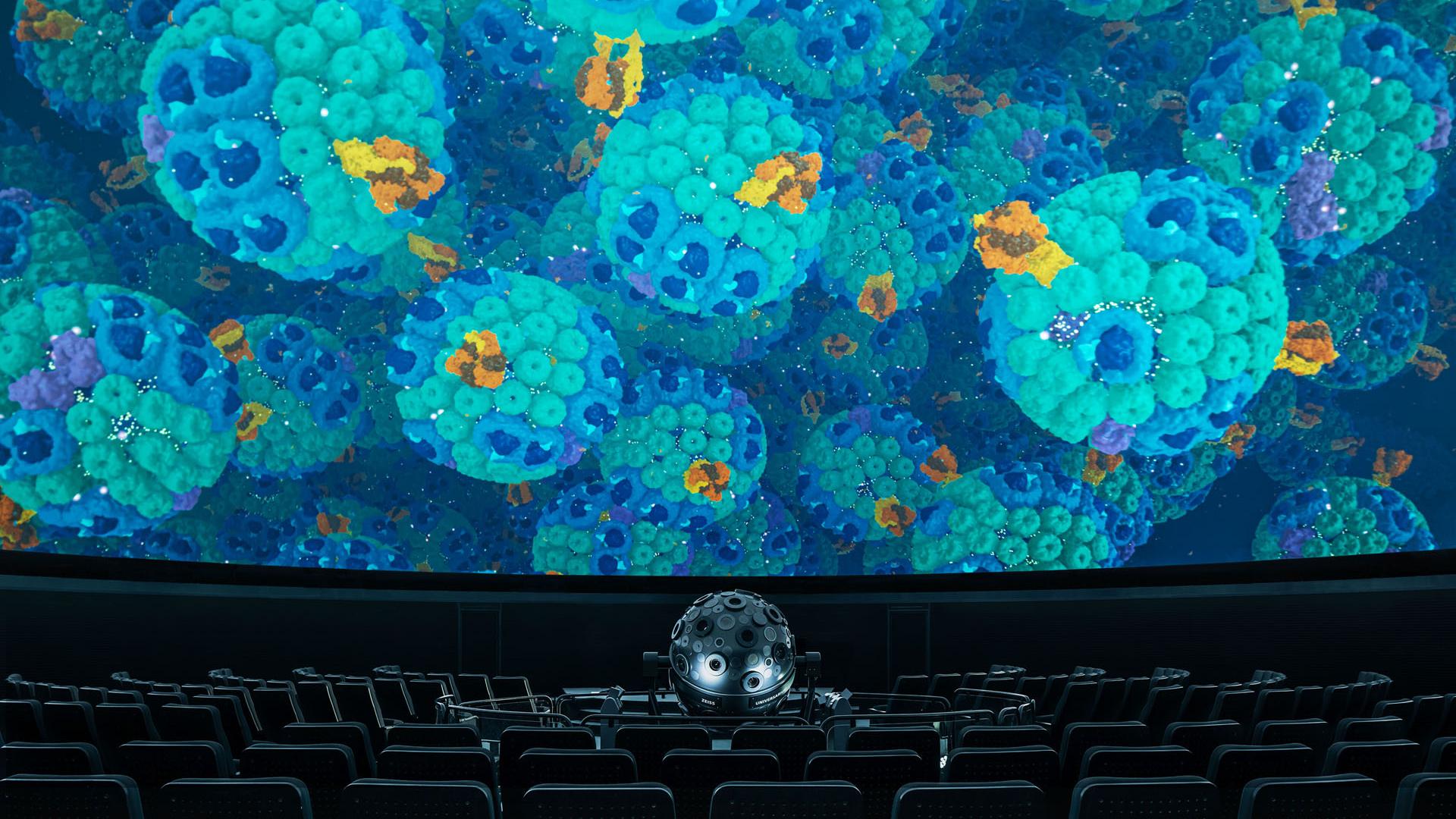 Projektionen erster Zellen im Zeiss-Großplanetarium in Berlin