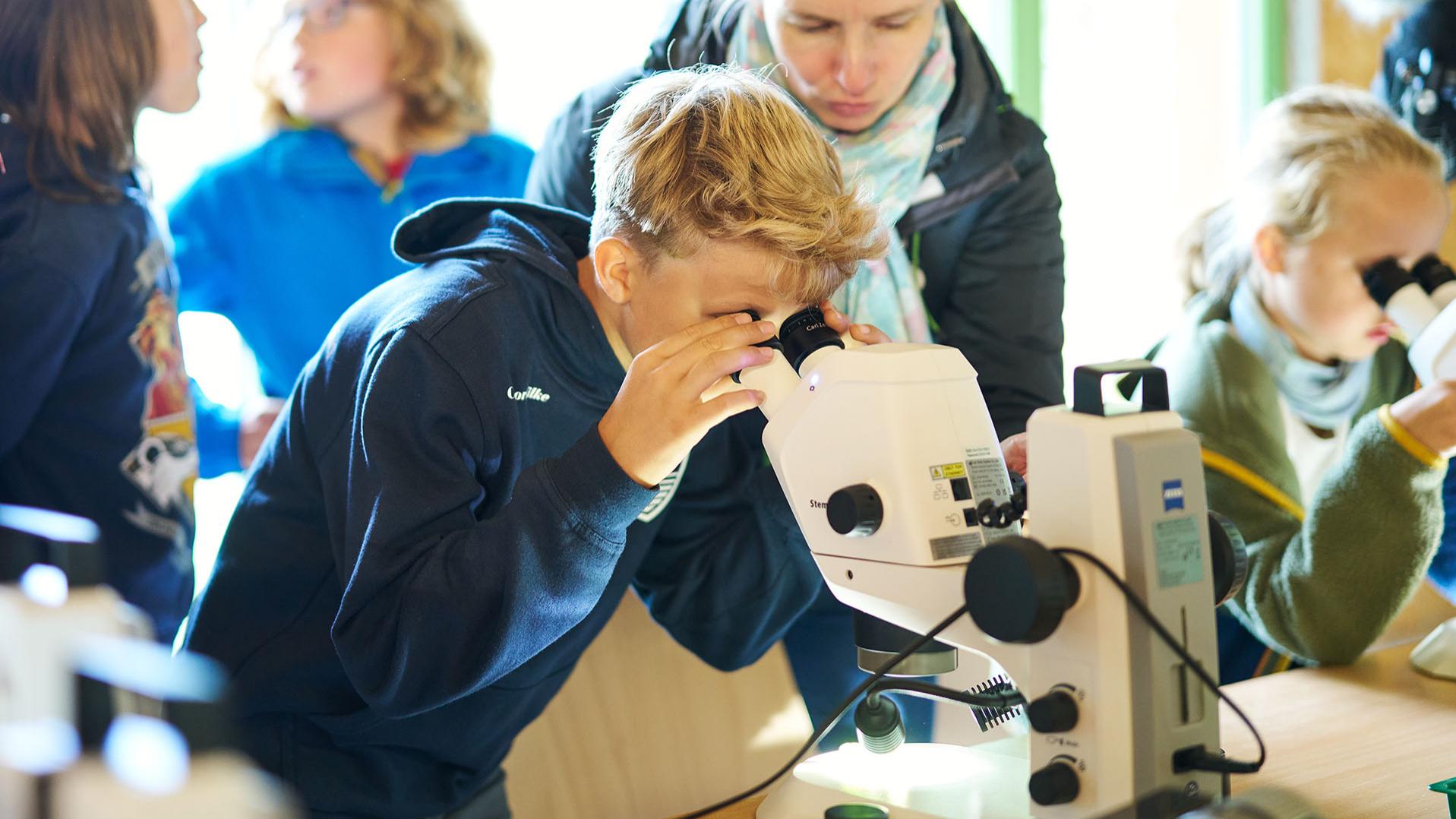 Mit den ZEISS Mikroskopen können Kinder, Jugendliche und Erwachsene das Leben und die Natur unter dem Mikroskop erforschen und mehr über die sie umgebende Natur lernen.