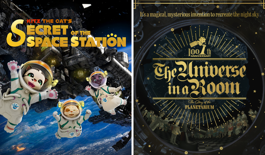 Autumn is Show Season