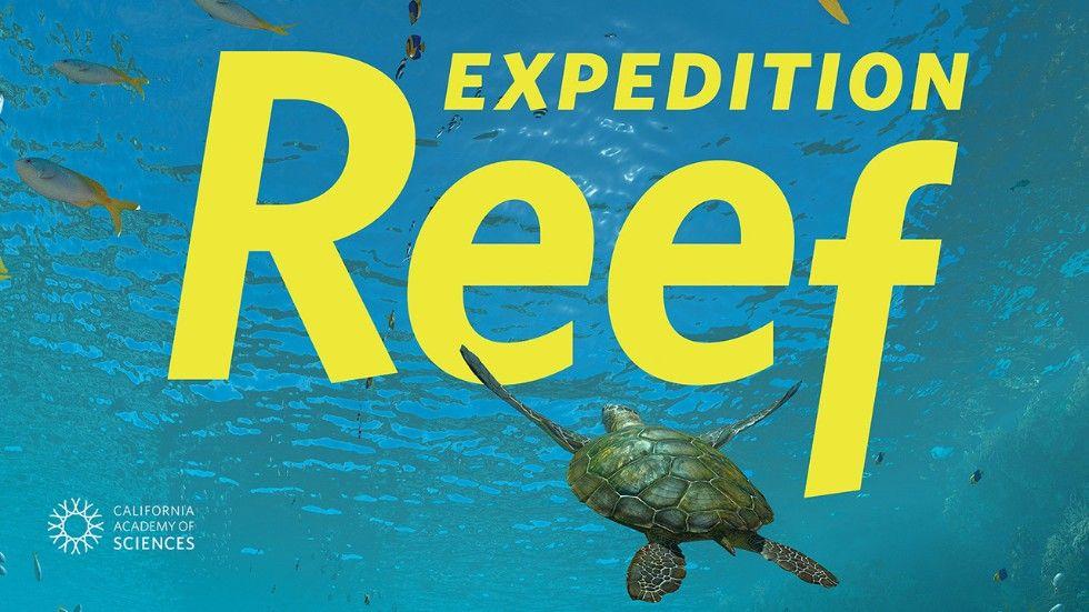 Expedition Reef