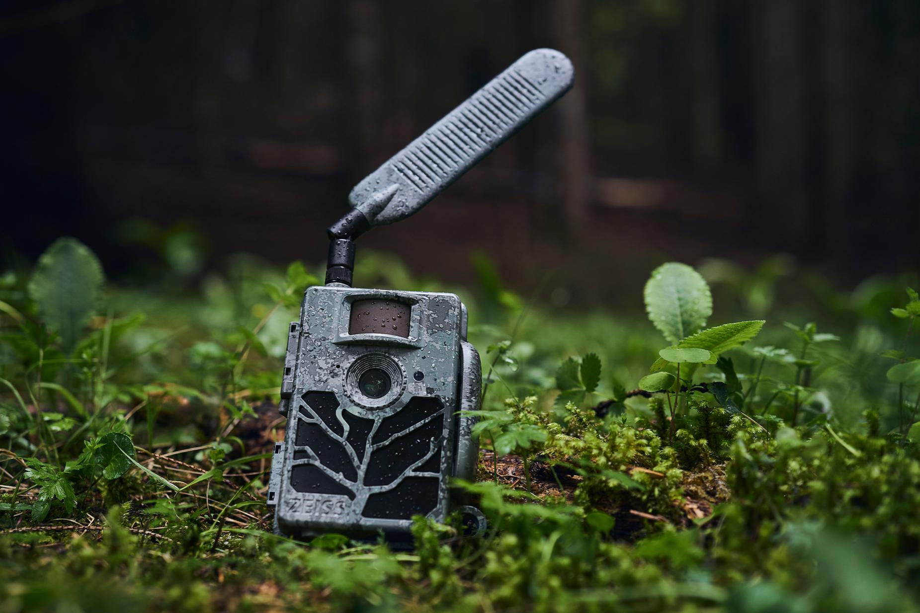 Eine robuste ZEISS-Wildkamera mit Antenne steht auf dem Waldboden, umgeben von Moos und Pflanzen.