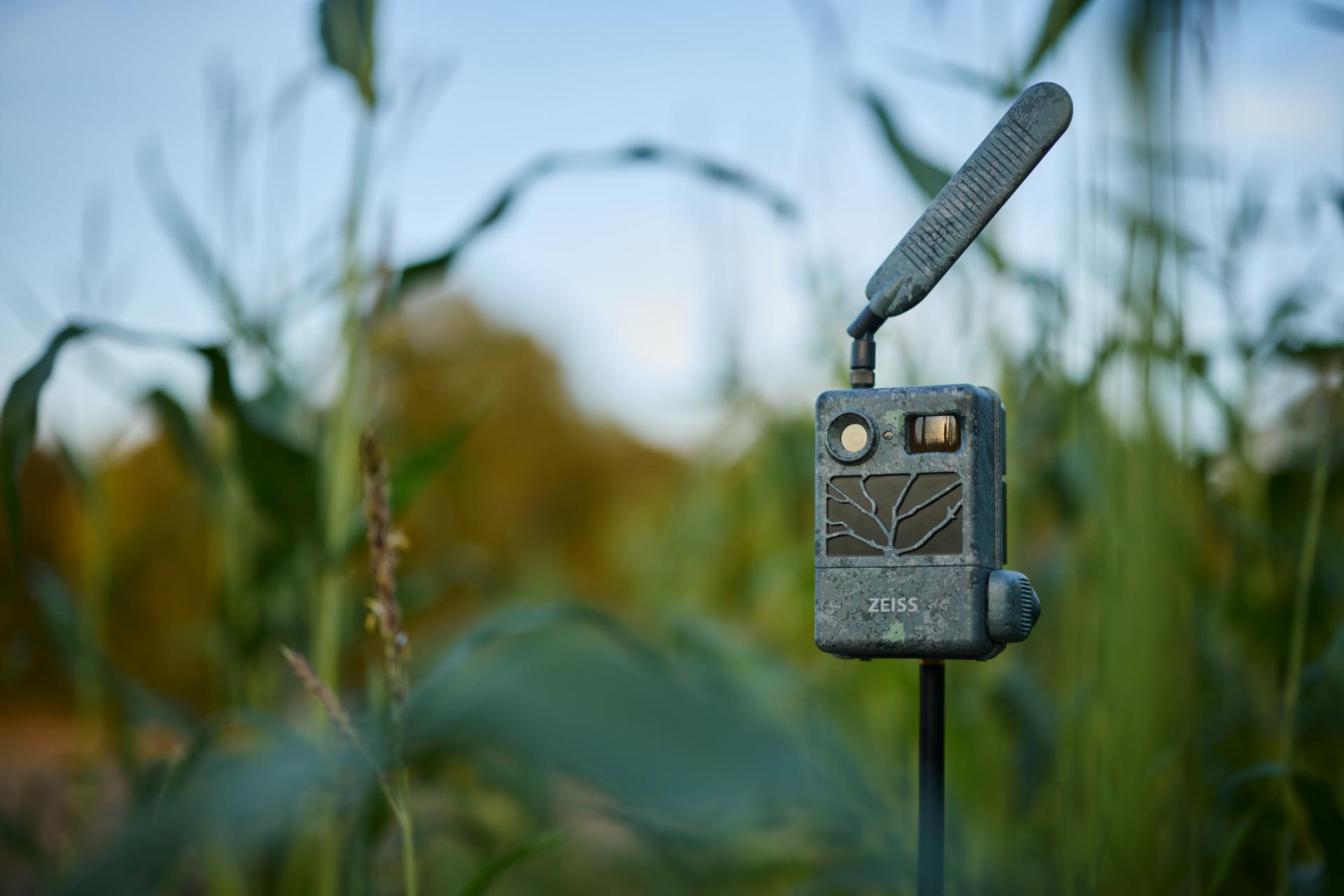 Eine ZEISS-Wildkamera mit Antenne ist an einem Mast inmitten von hohem grünem Gras im Freien angebracht.