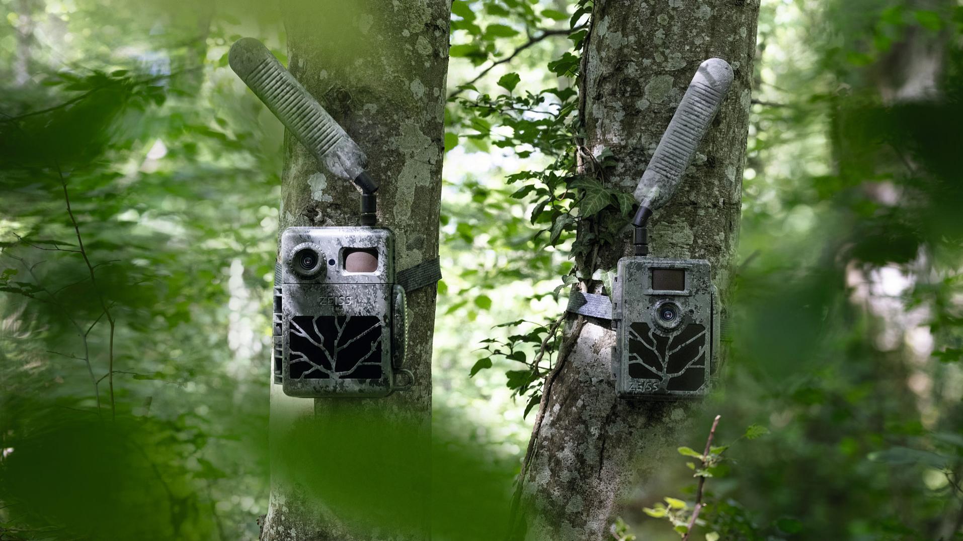 Two ZEISS trail cameras with antennas mounted on trees in a forest, partially hidden by green leaves.