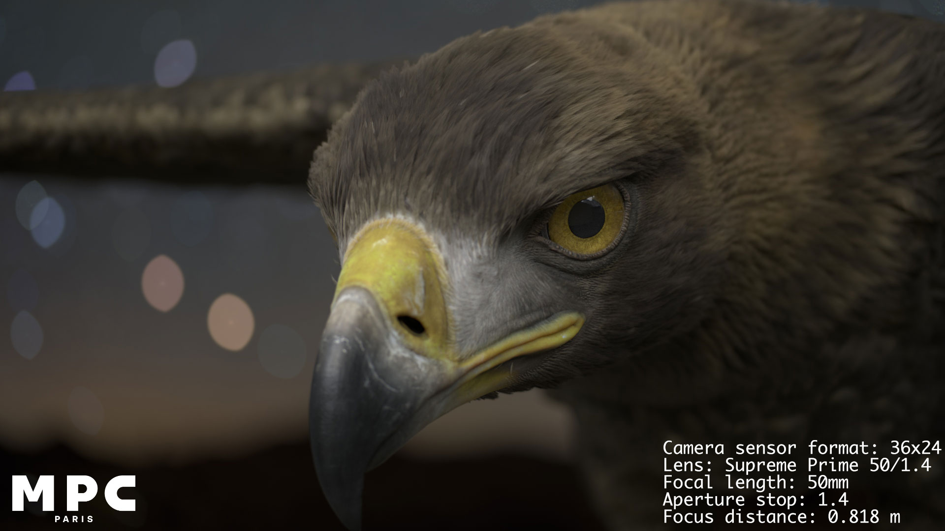 Close-up image of an eagle's face with detailed focus on its eye and beak, captured using a ZEISS Supreme Prime 50mm lens.