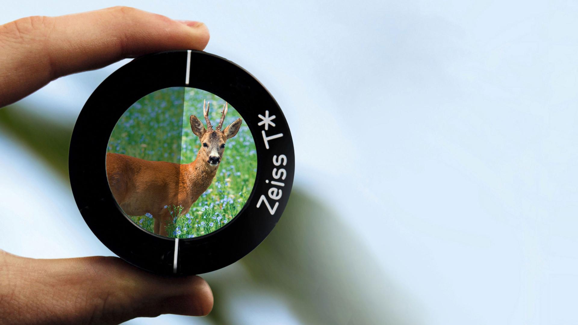 Close-up of a lens with ZEISS T* coating, showing high-contrast image quality even in challenging light conditions.