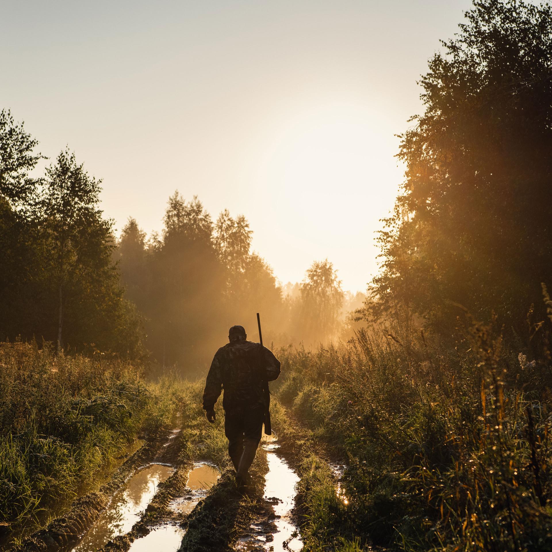 Hunter walking with rifle at sunrise on a muddy forest path, highlighting the reliable performance of ZEISS Victory HT 2.5-10x50 in diverse hunting conditions.
