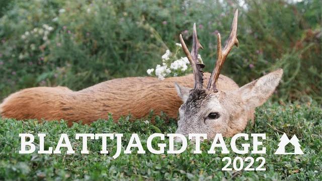 ChatGPT:  Ein Rehbock liegt im grünen Bewuchs und symbolisiert die Blattjagdtage 2022.