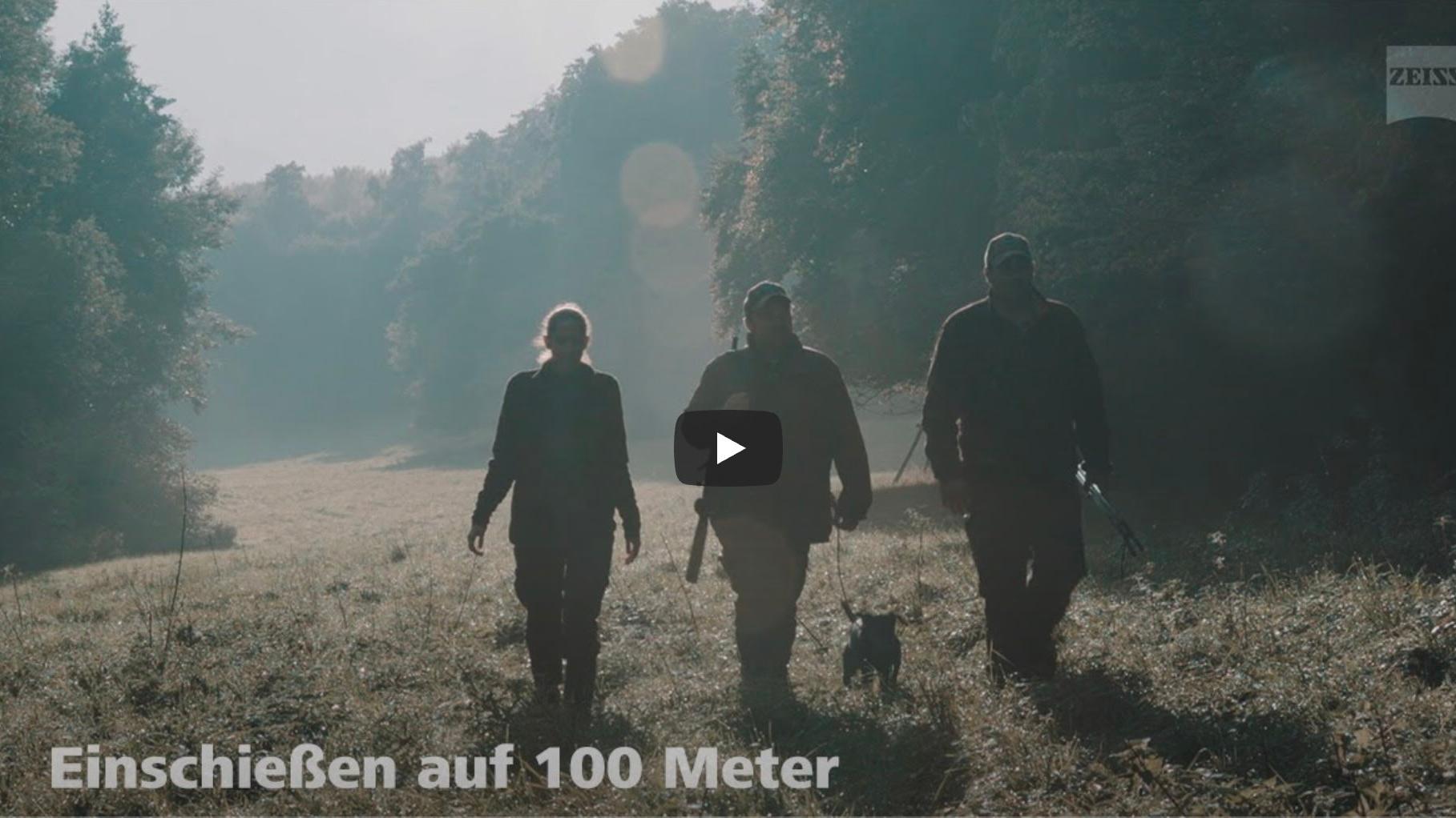 Nahaufnahme eines Greifvogels mit gelbem Schnabel und scharfem Blick zur Darstellung typischer Erkennungsmerkmale, präsentiert von ZEISS.