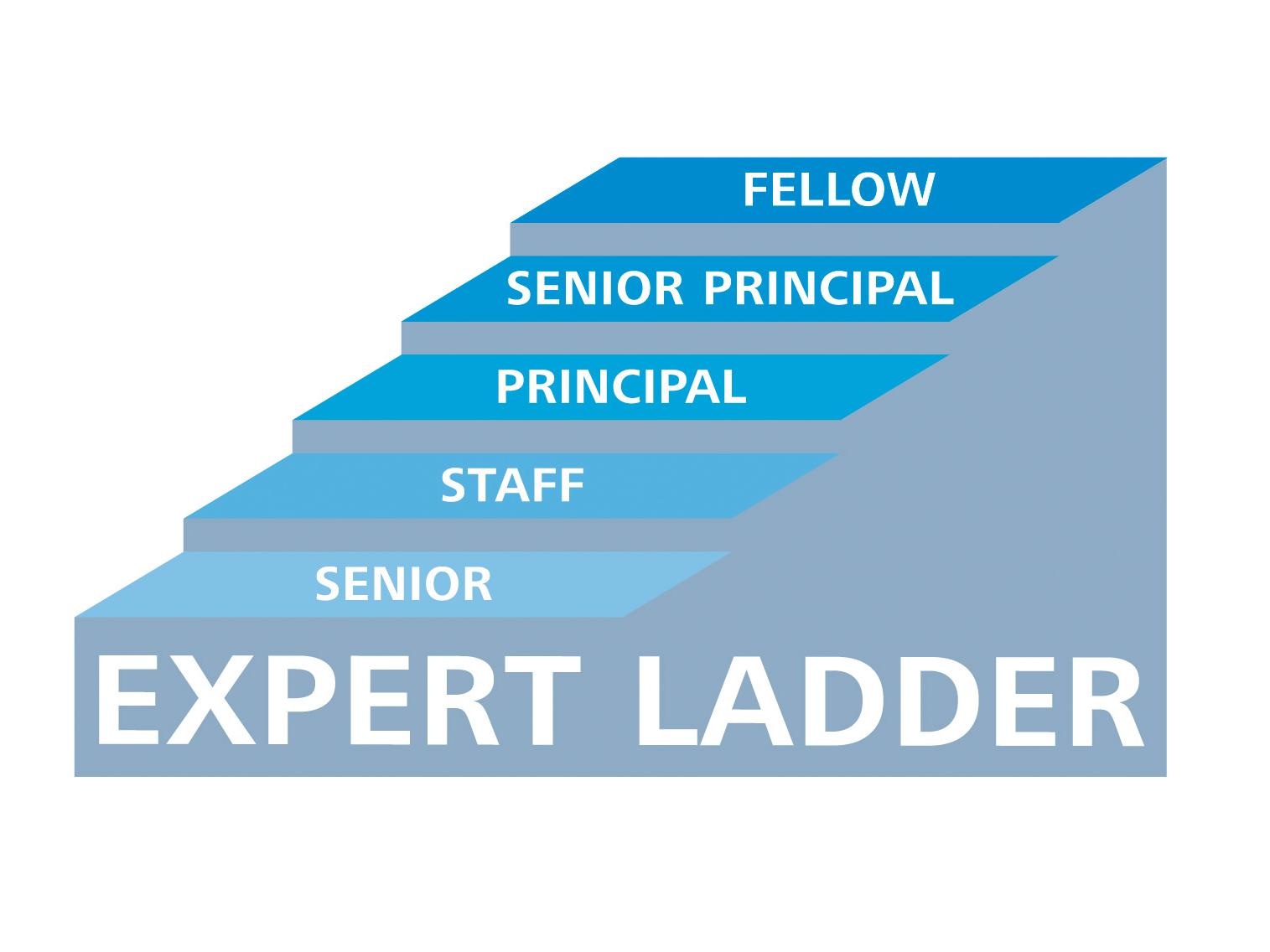 Grafische Aufbereitung der einzelnen Stufen der Fachlaufbahn von Senior bis Fellow