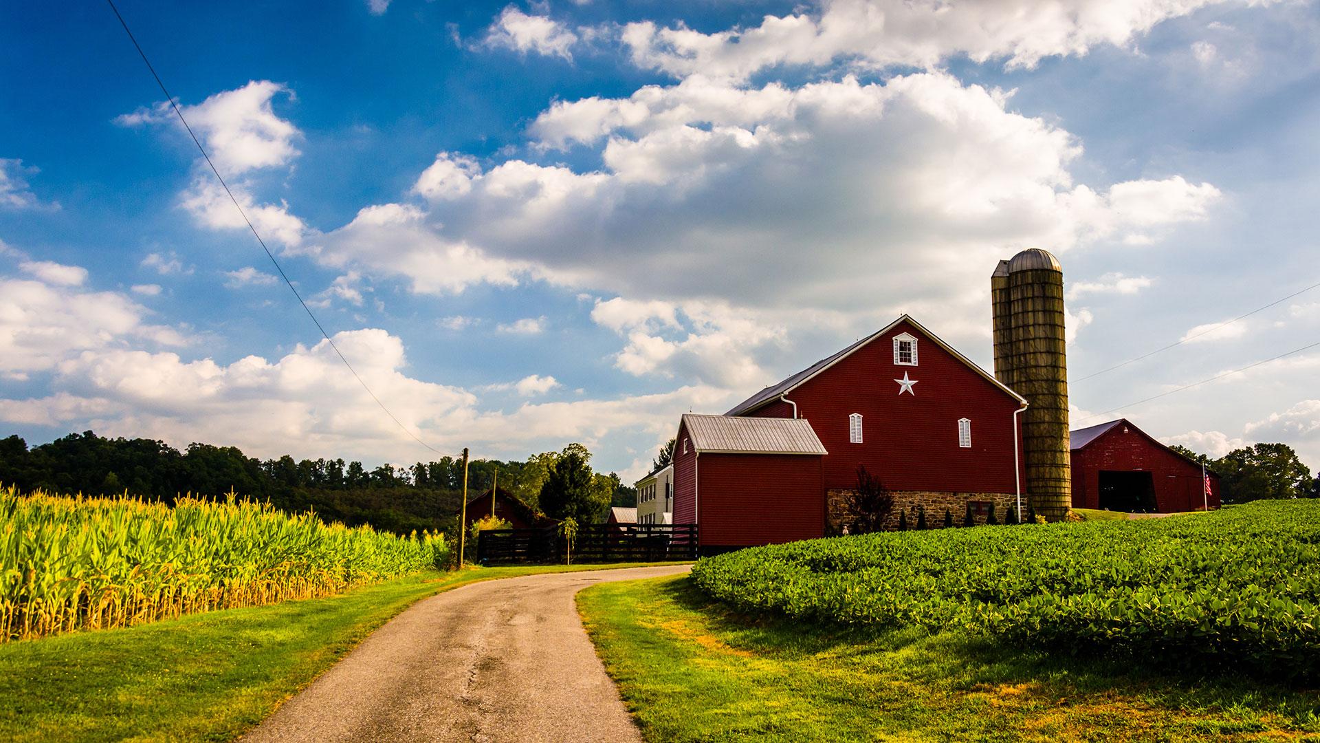 Auffahrt und rote Scheune, Silo und Ackerfeld