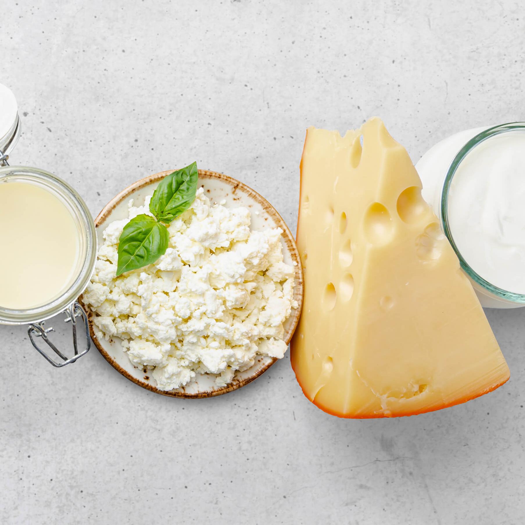 Molkereiprodukte auf dem Tisch, Milch, Käse, Frischkäse, Joghurt