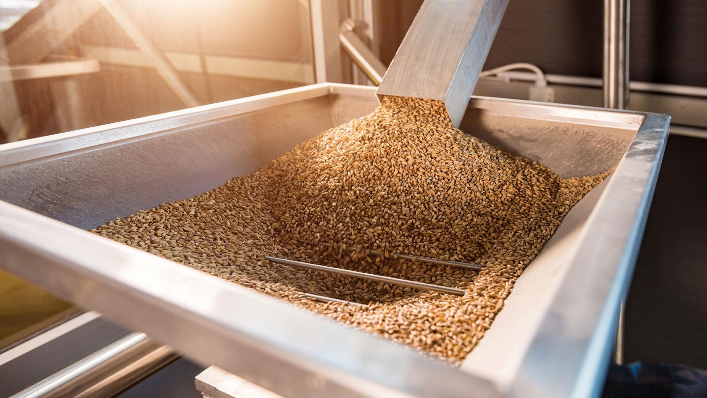 Corona® extreme | Robust, schnell und präzise für zuverlässige Ergebnisse