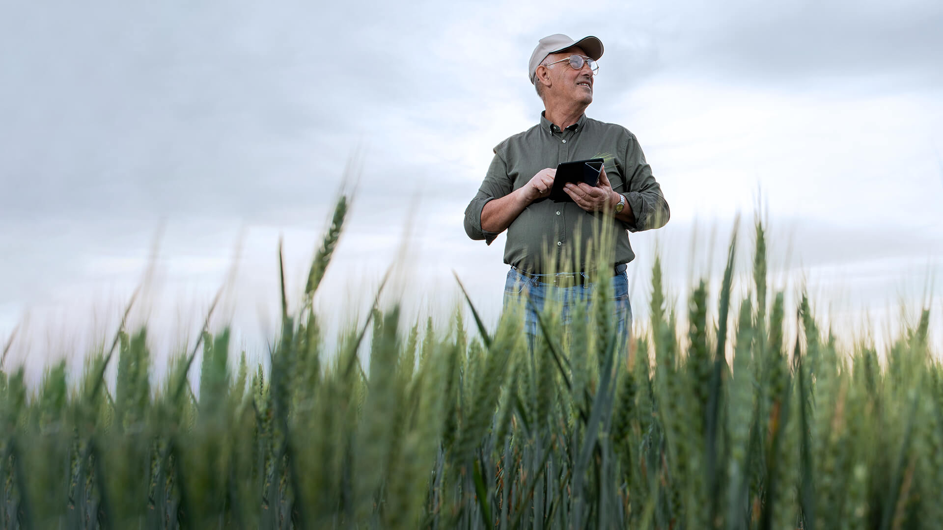Ein Landwirt steht in einem Maisfeld mit einem Tablet in der Hand