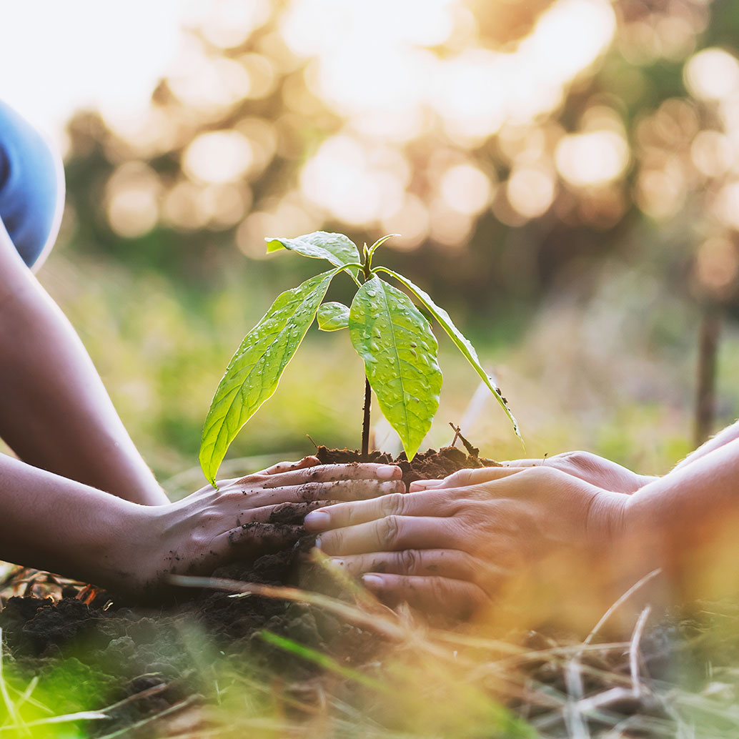 Mutter mit Kindern, die in der Natur Bäume pflanzen, um die Umwelt zu schützen. Identifizierung des Fingerabdrucks des Bodens. Bodenanalyse