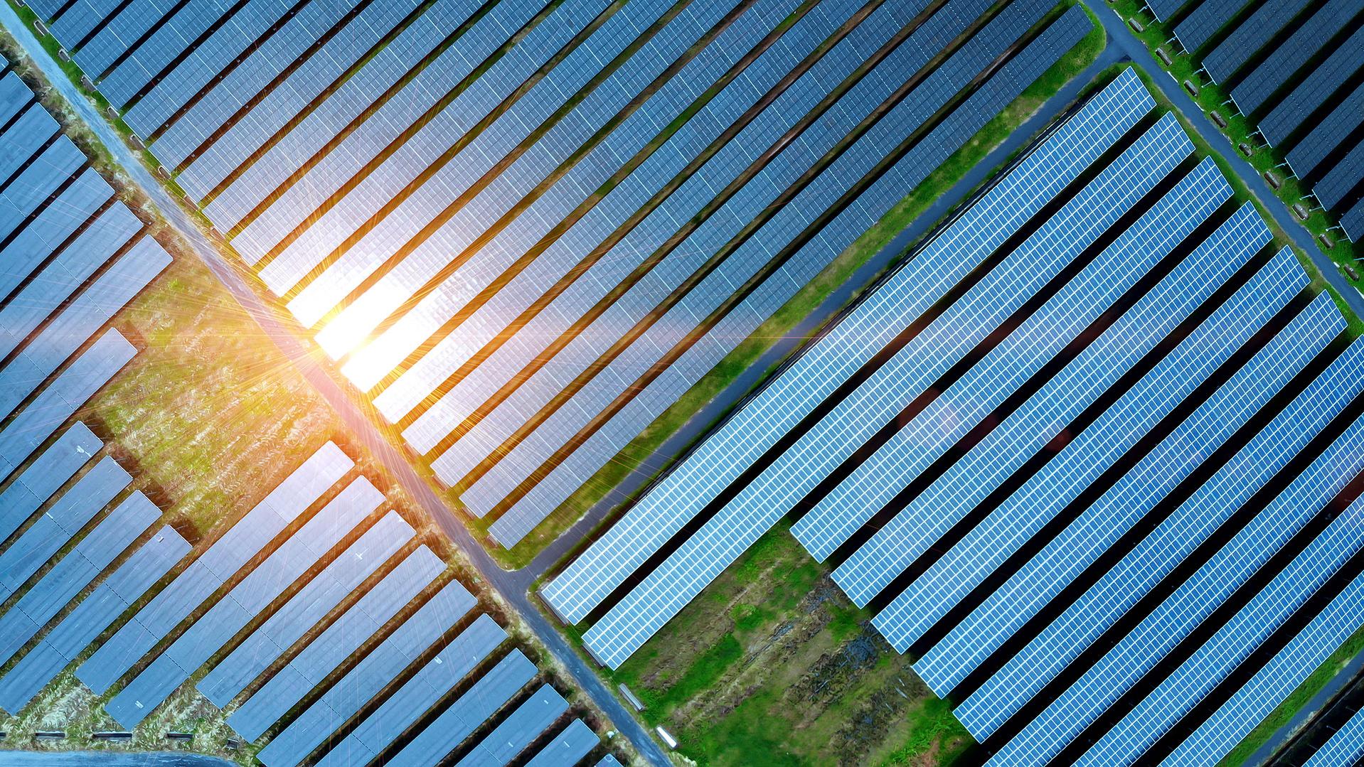 Luftaufnahme eines Solarzellenfeldes