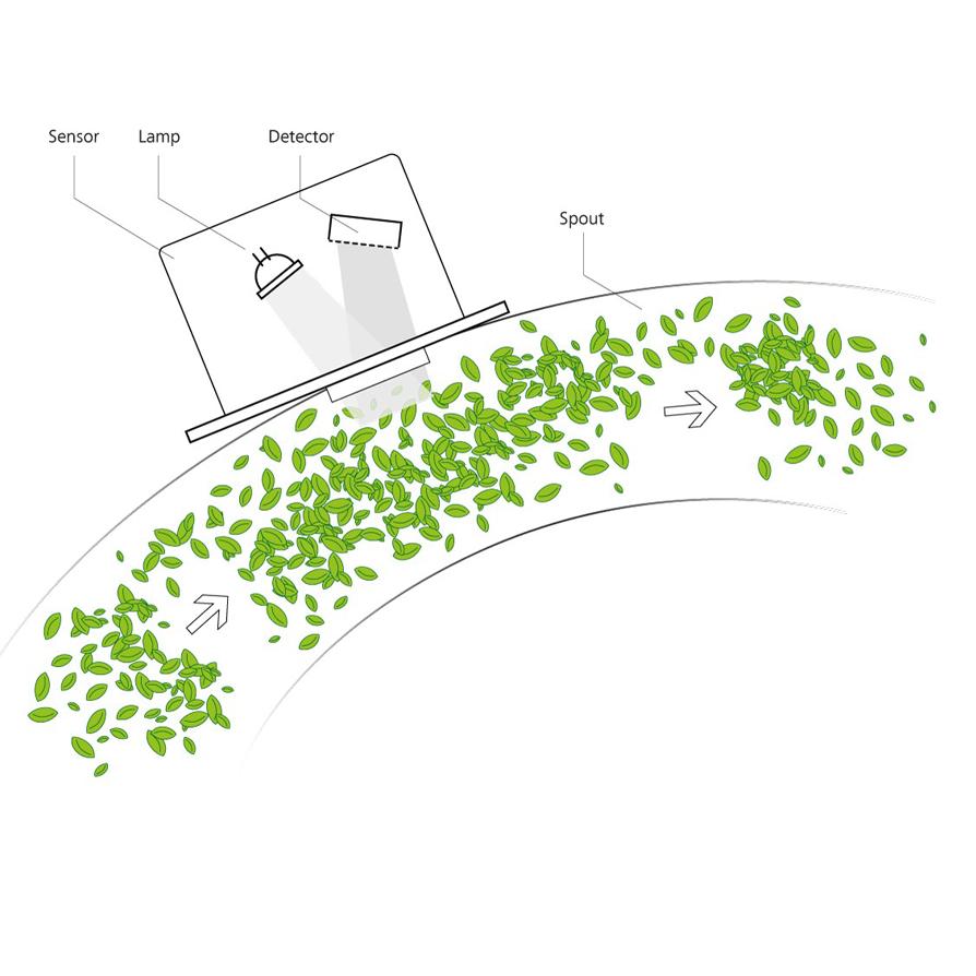Sensor measures crops in a spout