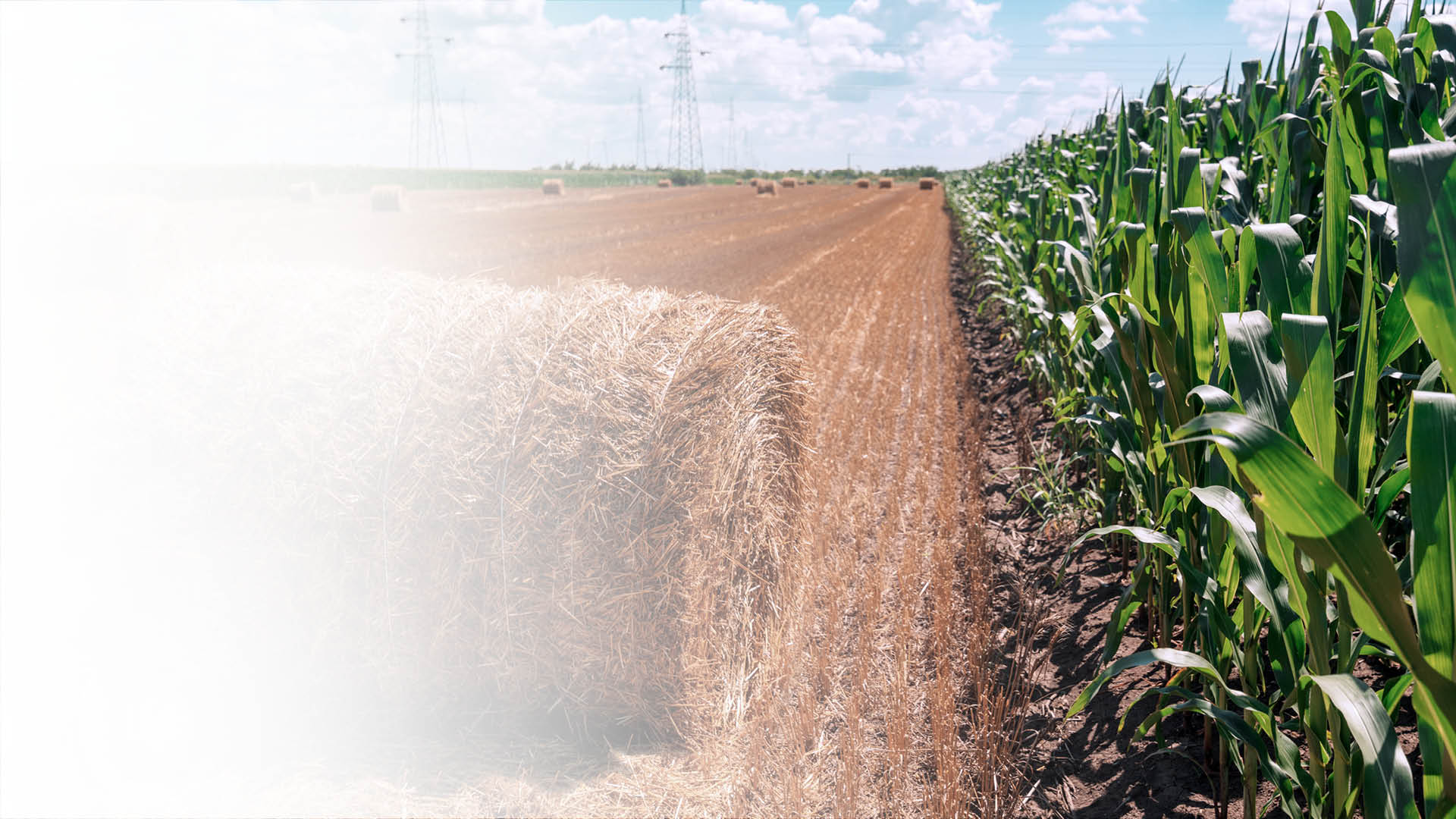 Heuballen und Maisfeld illustrieren den Anwendungsbereich Landwirtschaft