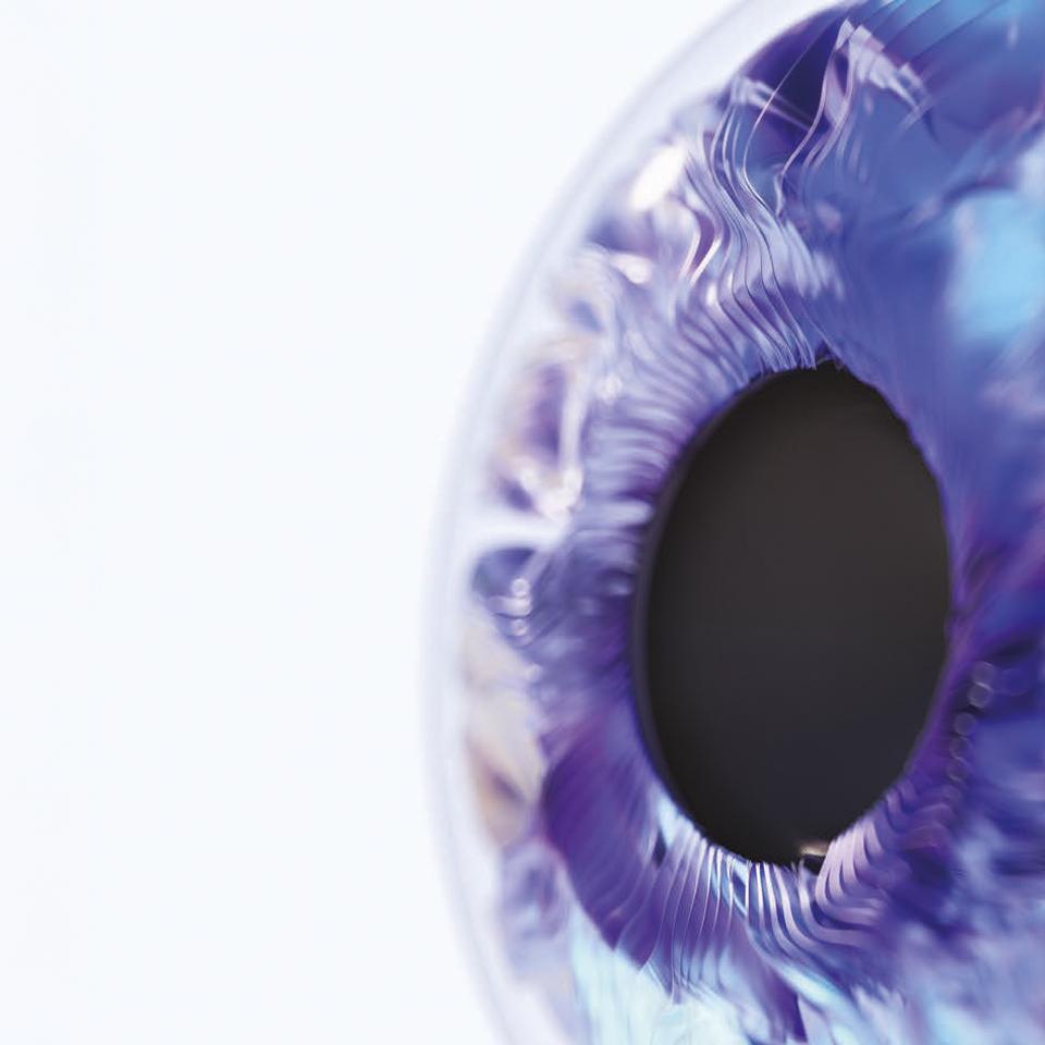 A female optician looking at the ZEISS VISUREF 600 screen showing an image of an eye.