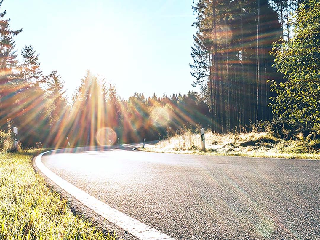 Ein Vergleichsbild, bei dem die eine Hälfte eine Straße im Wald mit grellem Sonnenlicht zeigt und die andere Hälfte dieselbe Straße mit reduzierter Blendung und verbessertem Kontrast, um den Effekt von polarisierenden Sonnenbrillengläsern zu verdeutlichen.