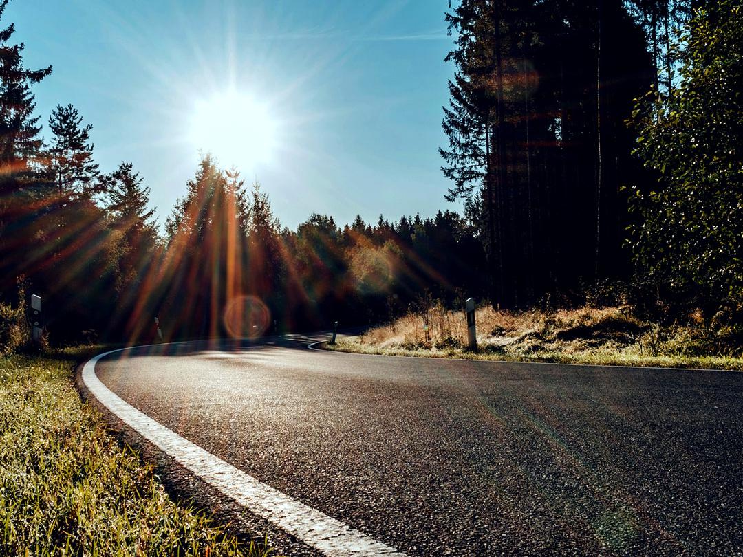 Ein Vergleichsbild, bei dem die eine Hälfte eine Straße im Wald mit grellem Sonnenlicht zeigt und die andere Hälfte dieselbe Straße mit reduzierter Blendung und verbessertem Kontrast, um den Effekt von polarisierenden Sonnenbrillengläsern zu verdeutlichen.
