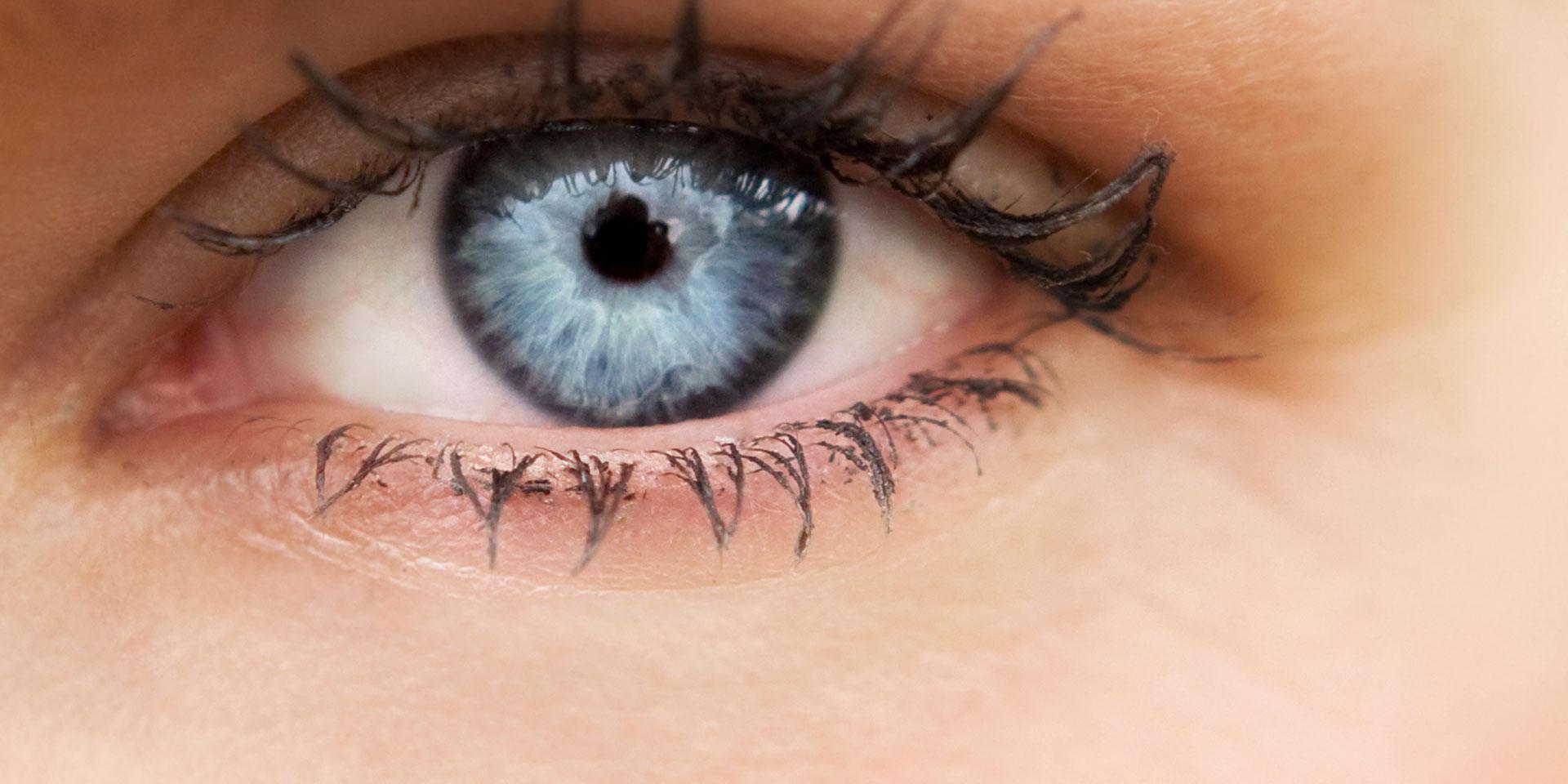 Sehen verstehen: Erforschung grundlegender Prozesse des Sehens by ZEISS