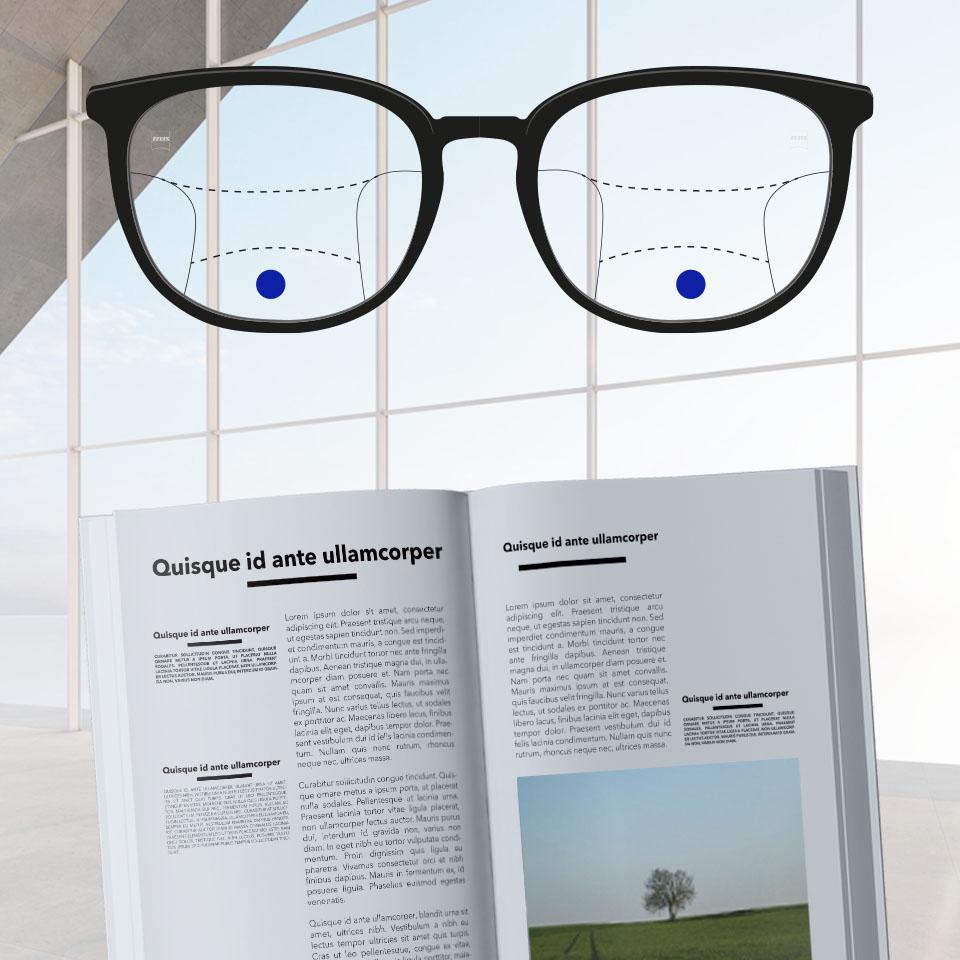 Fassung mit Gleitsichtgläsern und schematischen Linien zur Darstellung der unterschiedlichen Sichtzonen. Verschiedene Teile des Brillenglases sind optisch hervorgehoben: Nahsichtbereich – unterer Teil des Brillenglases.