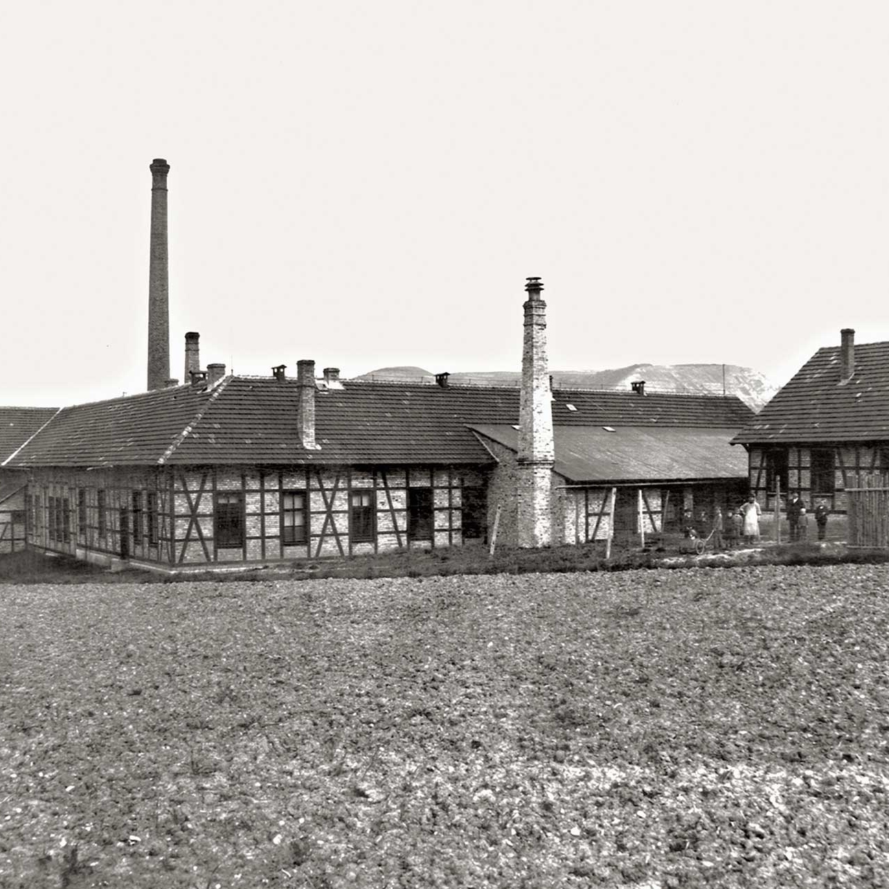 Das Jenaer Glaswerk Schott & Genossen im Jahr 1889