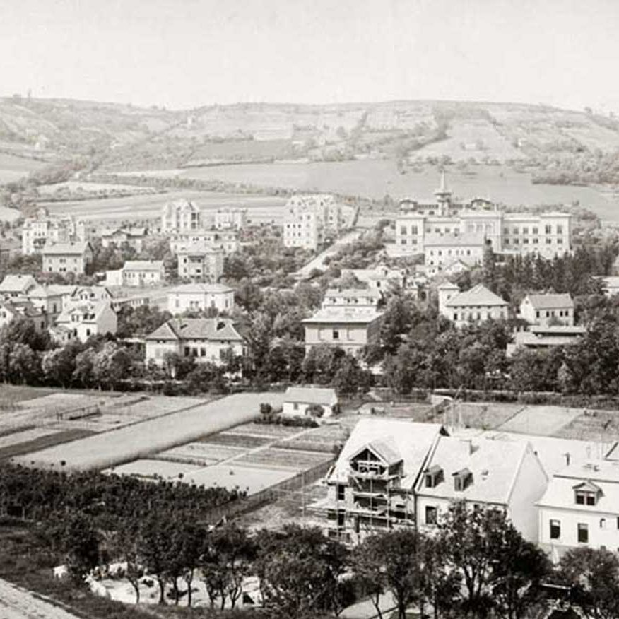 Blick auf Jena nach Nord (Landgrafen), 1891