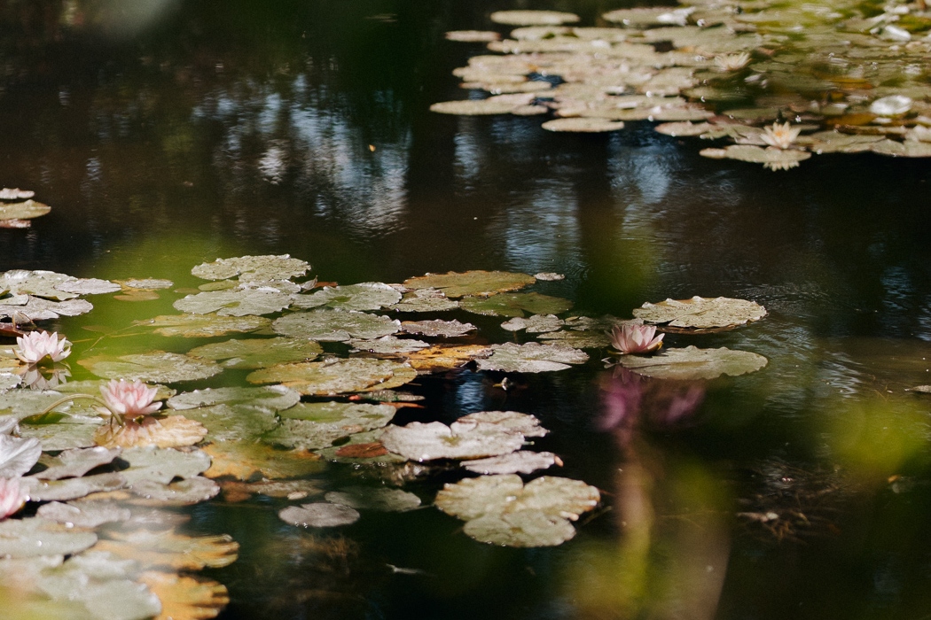Claude Monet Garten Seerosenteich