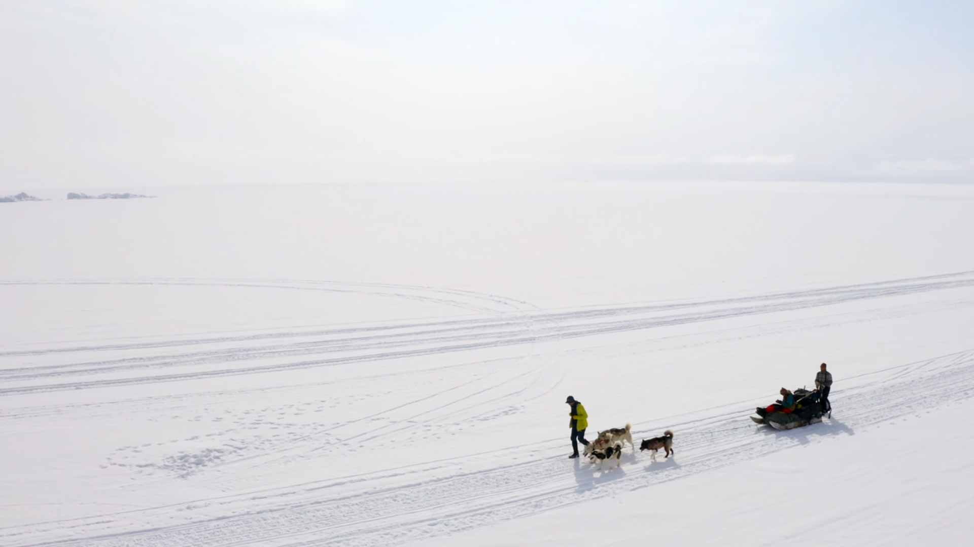 Die Essenz des Lebens in Grönland - dokumentiert von Fotograf und Klimaanalyst Sebastian Copeland